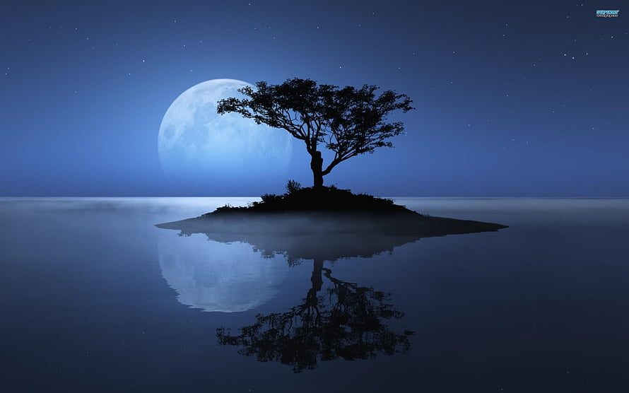 Serene Night Scene with Silhouetted Tree on Island and Full Moon Reflection HD wallpaper