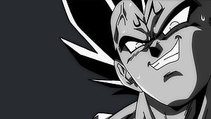Vegeta Black Anime Character Close-Up in Black and White HD wallpaper