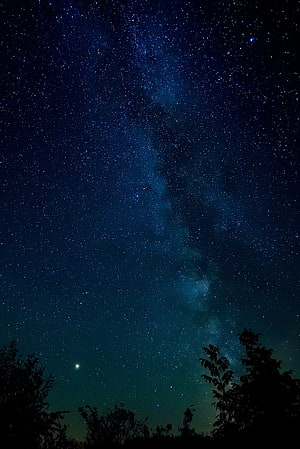 Stunning Vertical View of the Milky Way Galaxy Over Silhouetted Trees at Night HD phone wallpaper