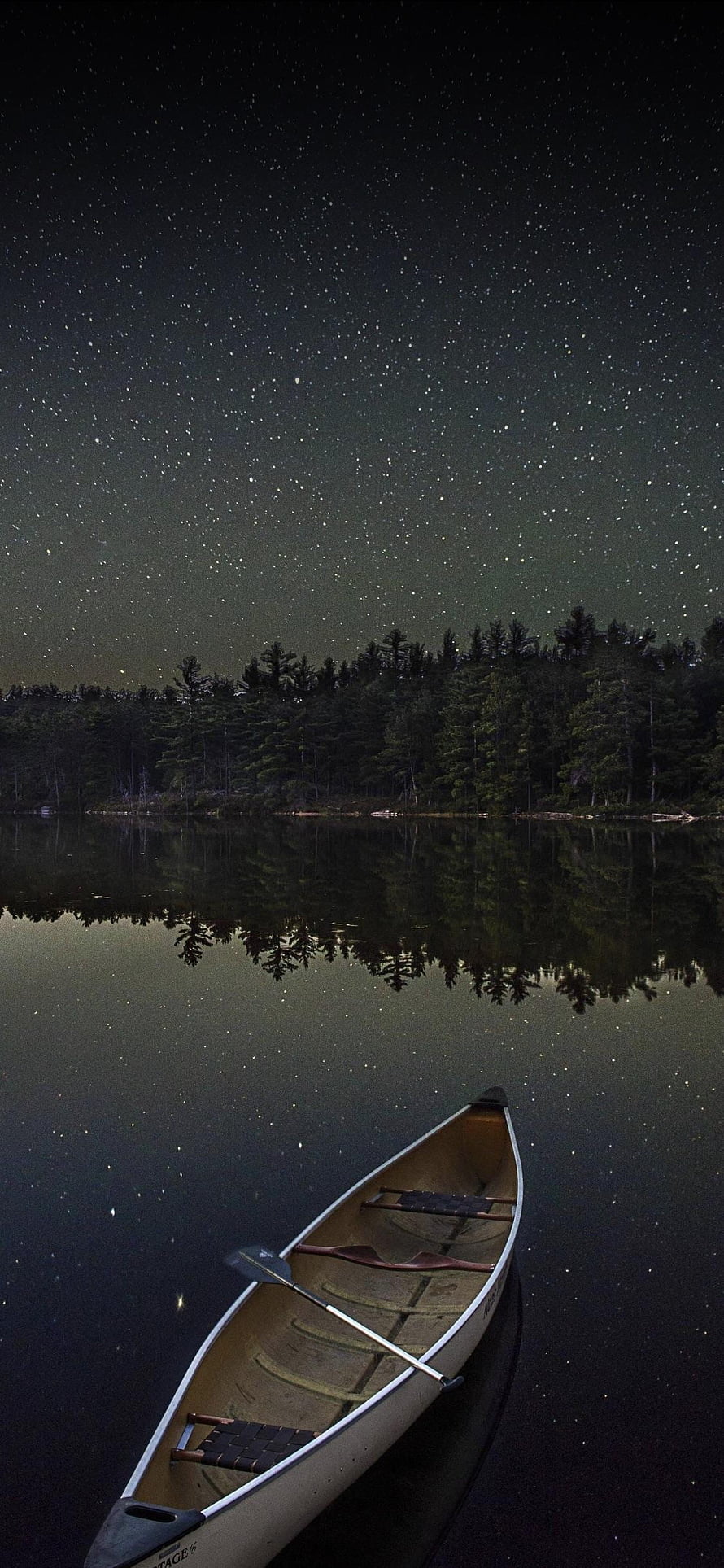 Canoe on a Starlit Lake at Night with Forest Reflections HD phone wallpaper