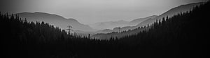 Black and White Misty Mountain Forest Panorama with Power Lines HD wallpaper