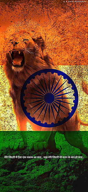 Majestic Lion Roaring Over Indian Flag Tricolor Background HD phone wallpaper