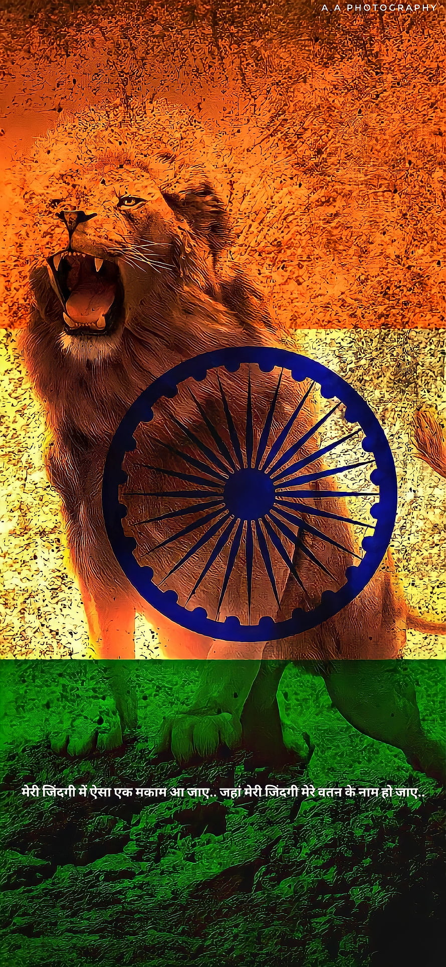 Majestic Lion Roaring Over Indian Flag Tricolor Background HD phone wallpaper