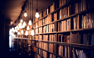Warmly lit library shelves with hanging Edison bulbs creating a cozy reading atmosphere HD wallpaper