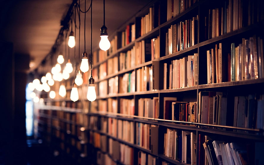 Warmly lit library shelves with hanging Edison bulbs creating a cozy reading atmosphere HD wallpaper