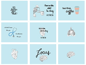 Medical Student Motivational Wall Art Set with Anatomy Illustrations and Inspirational Quotes HD wallpaper