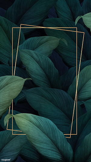 Dark Green Tropical Leaves With Gold Geometric Frame Abstract Wallpaper HD phone wallpaper