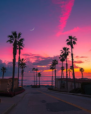 Vibrant Pink Sunset Over San Diego Coast With Silhouetted Palm Trees And Crescent Moon HD phone wallpaper