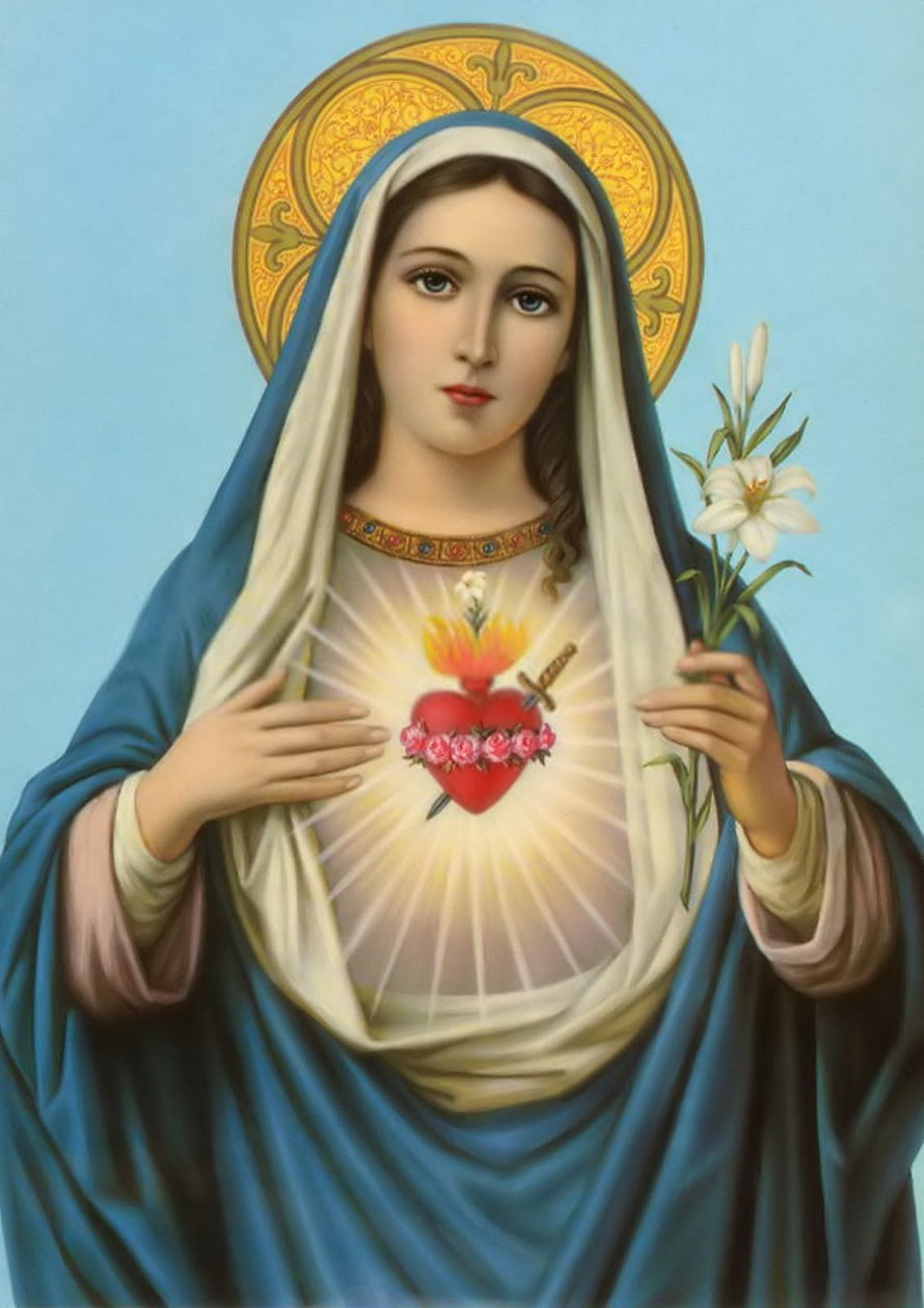 Immaculate Heart of Mary Religious Icon with Sacred Heart and White Lily HD phone wallpaper