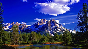 Grand Teton National Park Scenic View With River And Pine Trees HD wallpaper