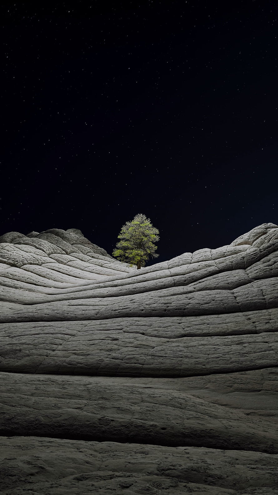 Lone Tree on Wavy Sandstone Ridge Under a Starry Night Sky HD phone wallpaper