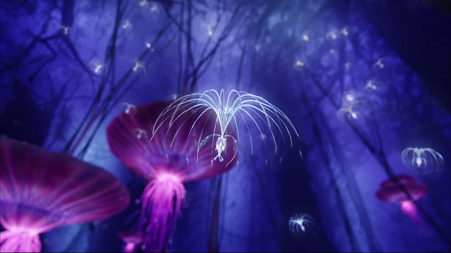 Avatar Pandora Bioluminescent Forest with Glowing Flora and Floating Creatures HD wallpaper
