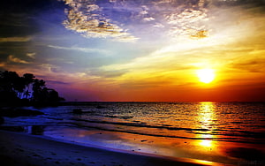 Tropical Beach Sunset with Silhouetted Palm Trees and Golden Ocean Reflection HD wallpaper