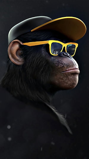 Cool chimpanzee wearing a black cap and yellow sunglasses portrait HD phone wallpaper