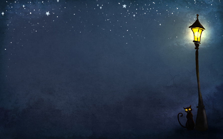 Mysterious Black Cat Sitting Beside Glowing Street Lamp Under Starry Night Sky HD wallpaper