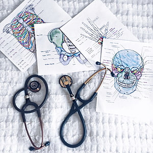 Medical Student Anatomy Study Setup with Hand Drawn Skeleton Diagrams and Stethoscope HD phone wallpaper