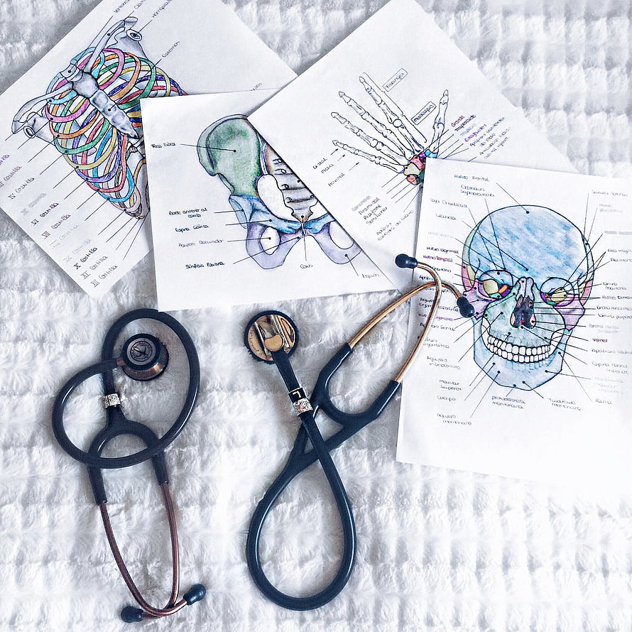 Medical Student Anatomy Study Setup with Hand Drawn Skeleton Diagrams and Stethoscope HD phone wallpaper