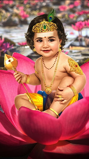 Baby Krishna Sitting on Pink Lotus Flower with Peacock Feather Crown and Golden Flute HD phone wallpaper