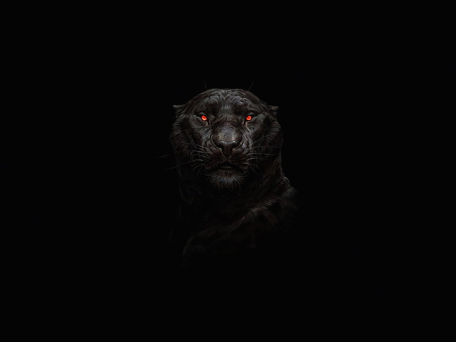 Mysterious Black Panther With Glowing Red Eyes In Dark Shadows HD wallpaper