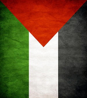Palestine National Flag with Distressed Grunge Texture and Bold Color Blocks HD phone wallpaper