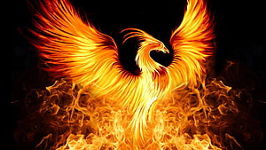 Majestic Phoenix Rising From Flames Digital Art Wallpaper HD wallpaper