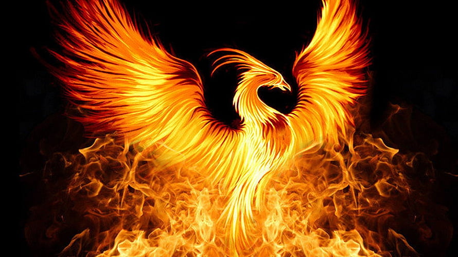 Majestic Phoenix Rising From Flames Digital Art Wallpaper HD wallpaper
