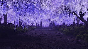 Mystical Purple Forest Path With Glowing Trees And Ethereal Atmosphere HD wallpaper