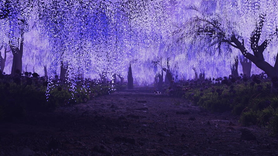 Mystical Purple Forest Path With Glowing Trees And Ethereal Atmosphere HD wallpaper