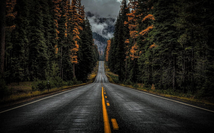 Wet asphalt road winding through a dark pine forest with autumn foliage and misty mountains HD wallpaper