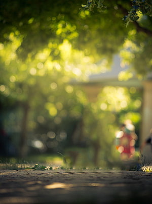 Sunlit Park Path With Blurred Green Foliage And Bokeh Background HD phone wallpaper