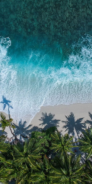 Aerial View of Turquoise Ocean Waves Crashing on Sandy Beach with Palm Tree Shadows HD phone wallpaper
