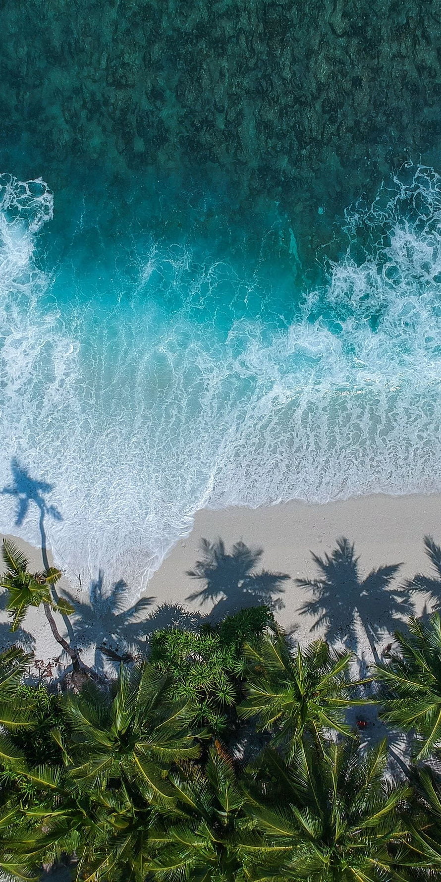 Aerial View of Turquoise Ocean Waves Crashing on Sandy Beach with Palm Tree Shadows HD phone wallpaper