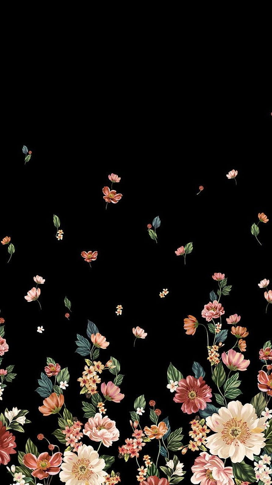 Elegant Vintage Botanical Illustration with Pink and Peach Flowers on Black Background HD phone wallpaper