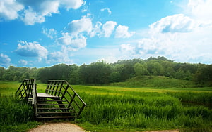 Rustic wooden bench in a lush green meadow under a bright blue sky with fluffy white clouds HD wallpaper