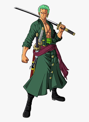 Roronoa Zoro One Piece Anime Character Full Body Illustration HD phone wallpaper