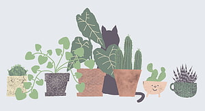 Cute Black Cat Hiding Among Potted Plants and Cacti Illustration HD wallpaper