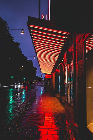 Neon-lit Stockholm street at night with wet pavement reflecting red and green city lights HD phone wallpaper