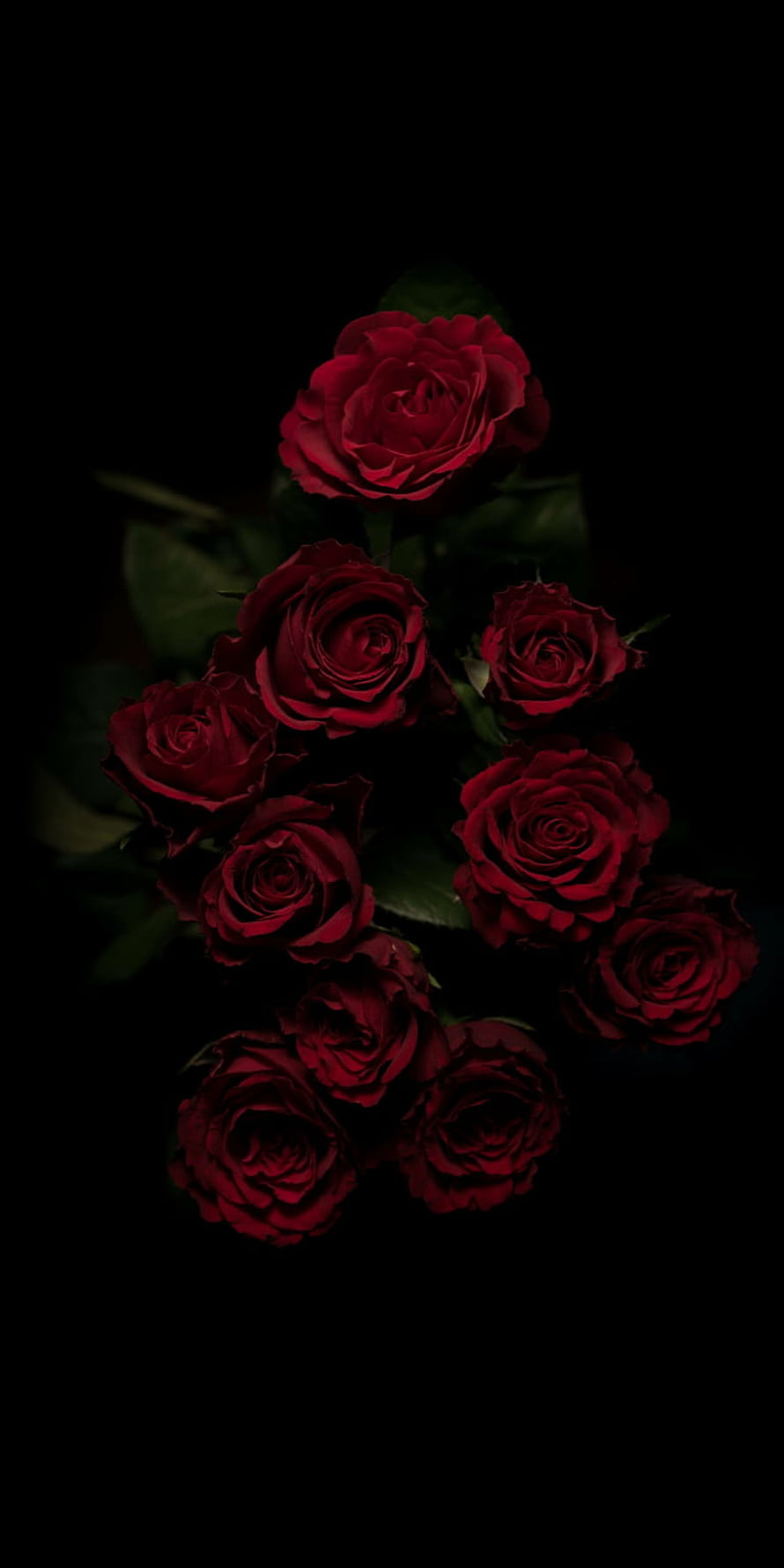 Dark Red Roses Bouquet on Black Background HD phone wallpaper
