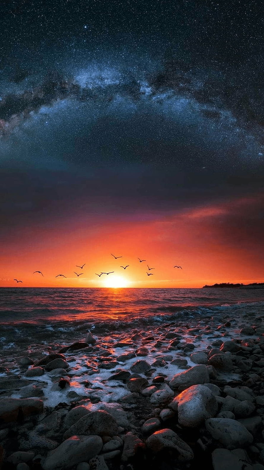 Milky Way Galaxy Over Ocean Sunset With Flying Birds And Rocky Shore HD phone wallpaper