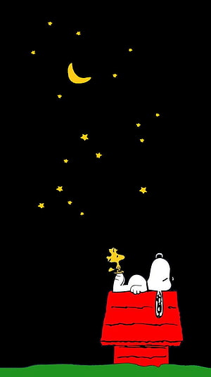 Snoopy and Woodstock on Red Doghouse Under Starry Night Sky HD phone wallpaper