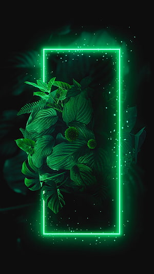 Glowing Green Neon Rectangle Frame With Tropical Leaves And Floating Particles HD phone wallpaper