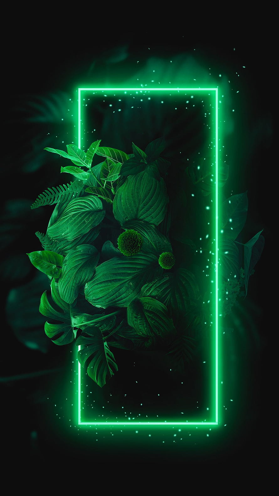Glowing Green Neon Rectangle Frame With Tropical Leaves And Floating Particles HD phone wallpaper