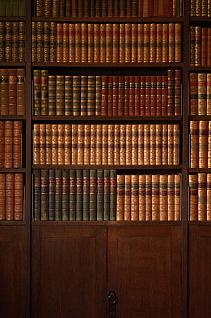 Antique Leather Bound Books on Dark Wooden Library Shelves HD phone wallpaper