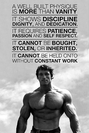 Arnold Schwarzenegger Motivational Fitness Quote About Discipline And Dedication HD phone wallpaper