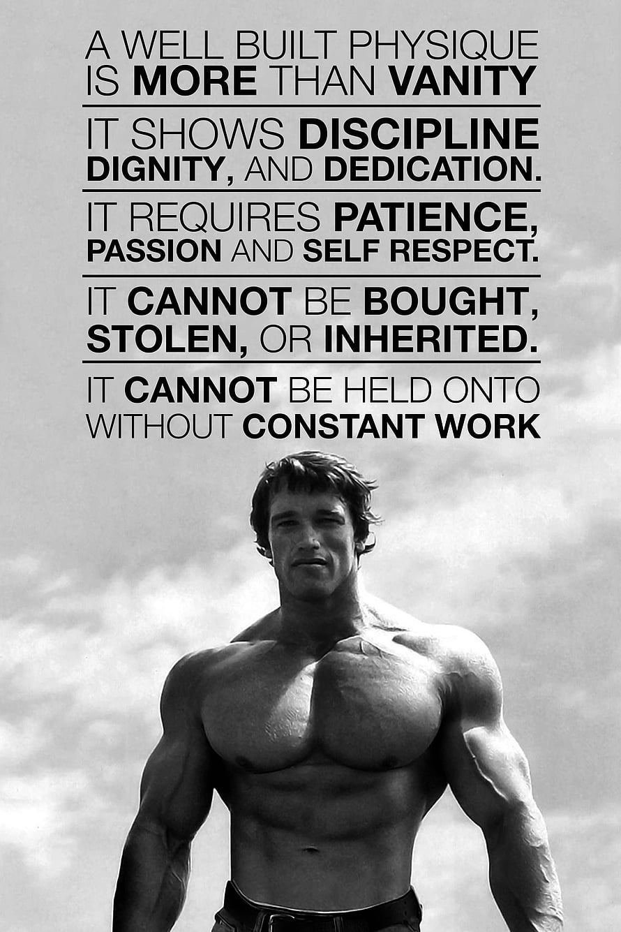 Arnold Schwarzenegger Motivational Fitness Quote About Discipline And Dedication HD phone wallpaper