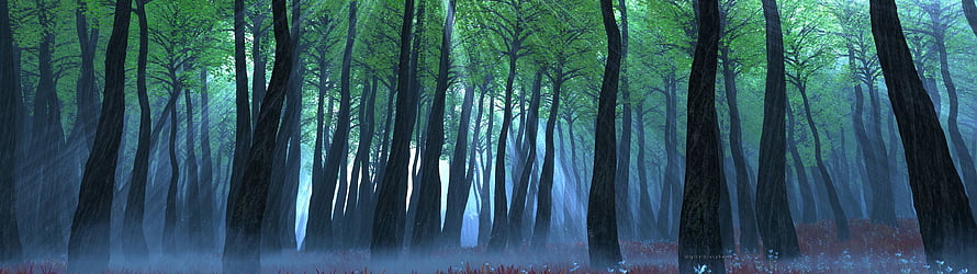 Mystical Green Forest With Tall Trees And Misty Atmosphere HD wallpaper