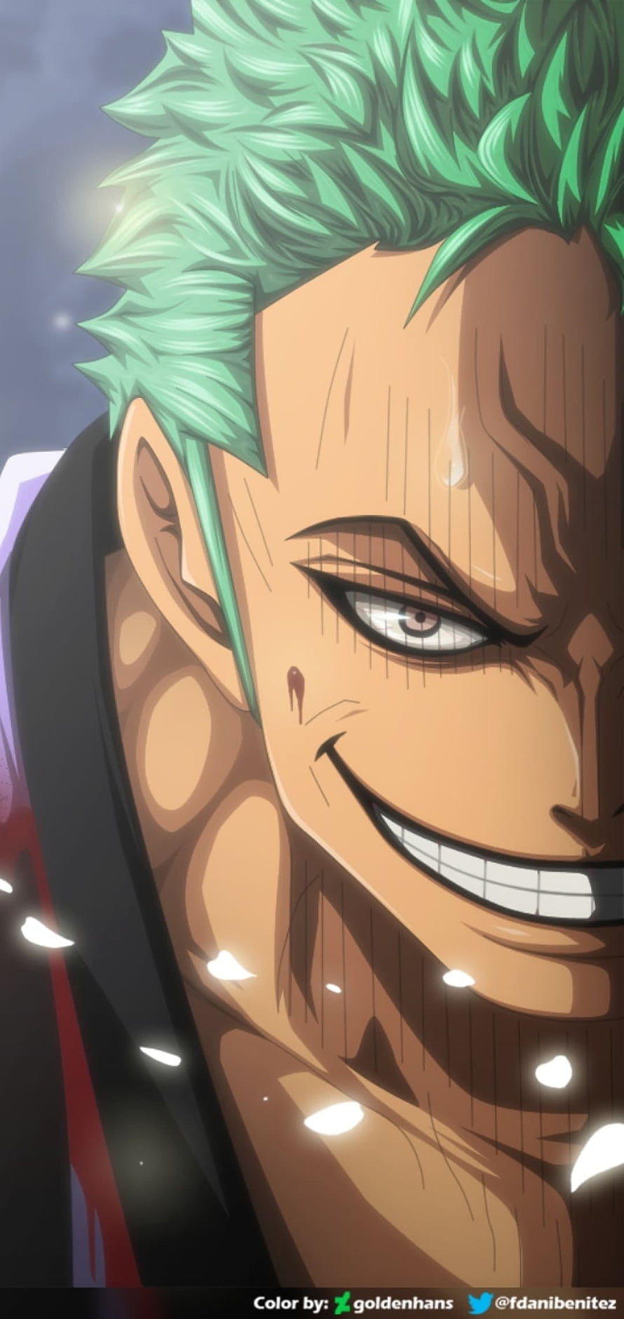Roronoa Zoro Smiling Intensely With Green Hair And Battle Scars Anime Portrait HD phone wallpaper