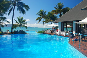 Tropical Resort Infinity Pool Overlooking Turquoise Ocean and Palm Trees HD wallpaper
