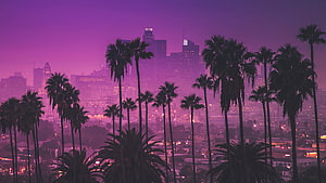 Los Angeles Skyline at Dusk with Palm Trees in a Purple Synthwave Aesthetic HD wallpaper