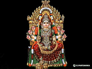 Goddess Kali Sitting on Shiva with Multiple Arms Holding Weapons and Garland of Heads HD wallpaper